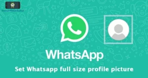 WhatsApp Full DP App